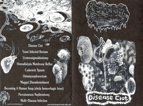 Pseudomonas Aeruginosa : Disease Clot